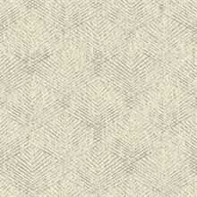 Fans Taupe Texture