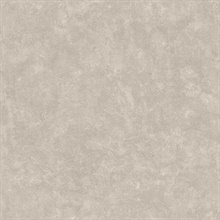 Faux Waxed Texture Taupe Wallpaper