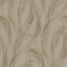 Feather Smokey Wallpaper