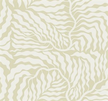 Fern Fronds Light Green & White Abstract Leaf Wallpaper