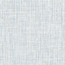 Fibre Aster