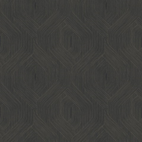 Fine Line Black Geometric Wallpaper