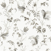 Floral Lace Black Wallpaper