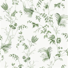Floral Lace Green Wallpaper