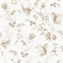 Floral Lace Taupe Wallpaper