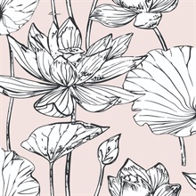 Floral Lotus Floral Blush & Ebony Peel and Stick Wallpaper