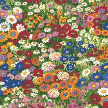 Floral Meadow Floral Multicolored Peel and Stick Wallpaper