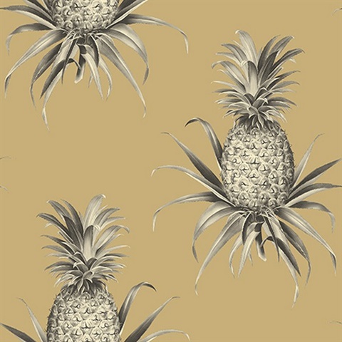 Florida Pineapples