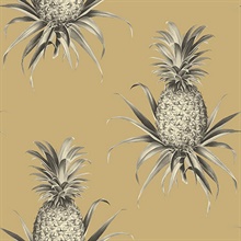 Florida Pineapples