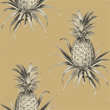 Florida Pineapples