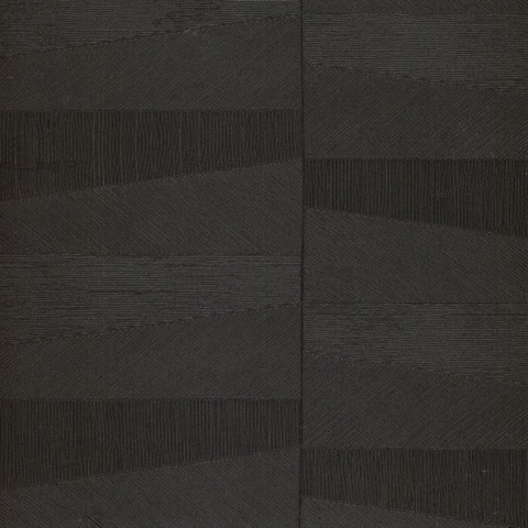 Focal 67481