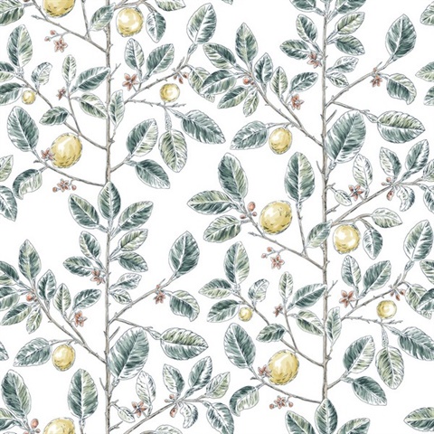 Forest Lemon Tree Toile Wallpaper