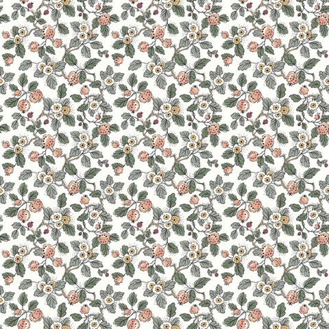 Framboise Blush Berry Vines Wallpaper