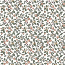 Framboise Blush Berry Vines Wallpaper