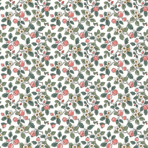 Framboise Pink Berry Vines Wallpaper