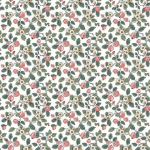 Framboise Pink Berry Vines Wallpaper