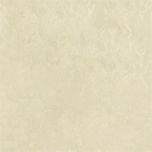 Francesca Champagne Faux Textured Wallpaper