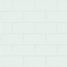 Freedom Mint Subway Tile
