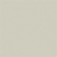 French Linen Limestone Type II 20oz Wallpaper