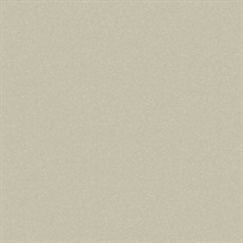 French Linen Peninsula Type II 20oz Wallpaper