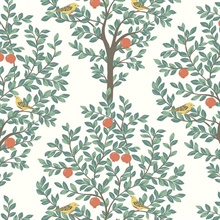 Fruit Tree Botanical Juniper Peel and Stick Wallpaper