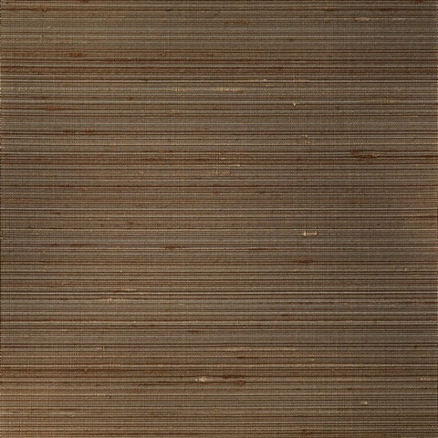Fuji Bronze