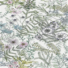 Full Bloom Off-White Floral Wallpaper