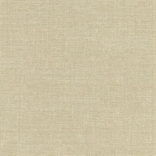 Gabardine Neutral Linen Texture