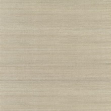 Galan Silver Grasscloth Wallpaper