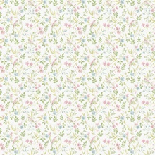 Garden Bird Green Wallpaper