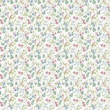 Garden Bird Green Wallpaper