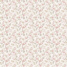 Garden Bird Pink Wallpaper