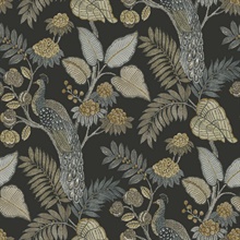Geneva Black Peacock Paradise Wallpaper