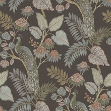 Geneva Chocolate Peacock Paradise Wallpaper