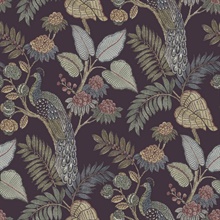 Geneva Plum Peacock Paradise Wallpaper