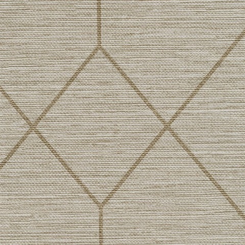 Geoloom Sheer Chiffon