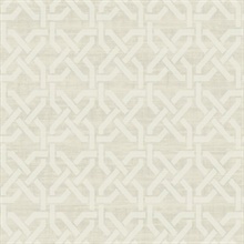 Geometric Trellis Contemporary