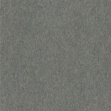 Gerard Charcoal Distressed Texture Wallpaper