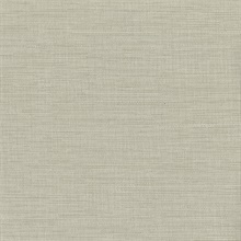 Giana Beige Horizontal Silk Wallpaper