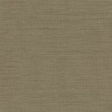 Giana Brown Horizontal Silk Wallpaper