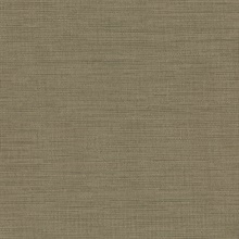 Giana Brown Horizontal Silk Wallpaper