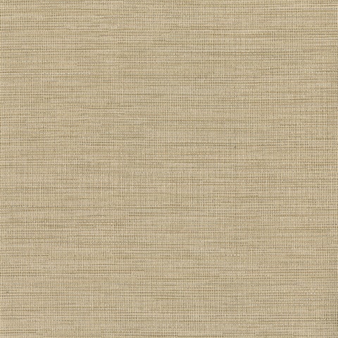 Giana Taupe Horizontal Silk Wallpaper