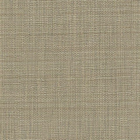 Gilded Linen The Magic Book