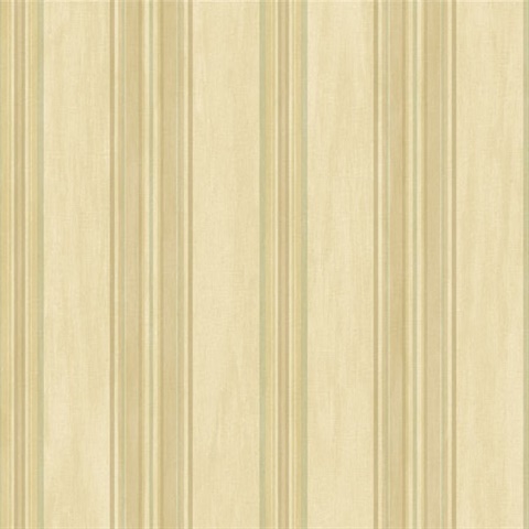 Giovo Stripe