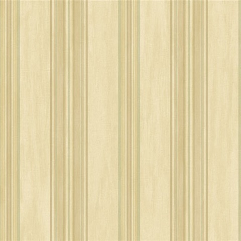 Giovo Stripe