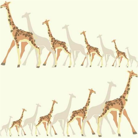 Giraffes