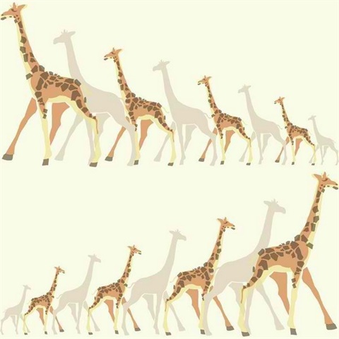 Giraffes