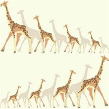 Giraffes