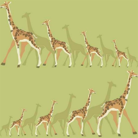 Giraffes