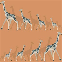 Giraffes